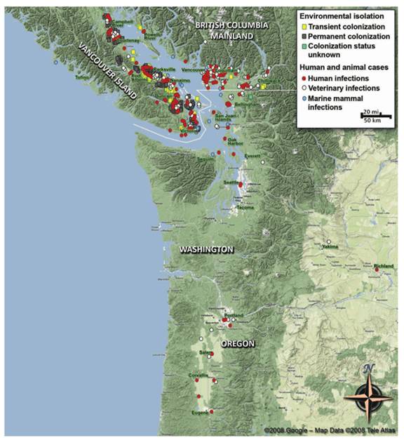 Geographic distribution of Pacific Northwest Cryptococcus gattii documented reports