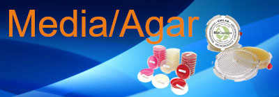 Media/Agar